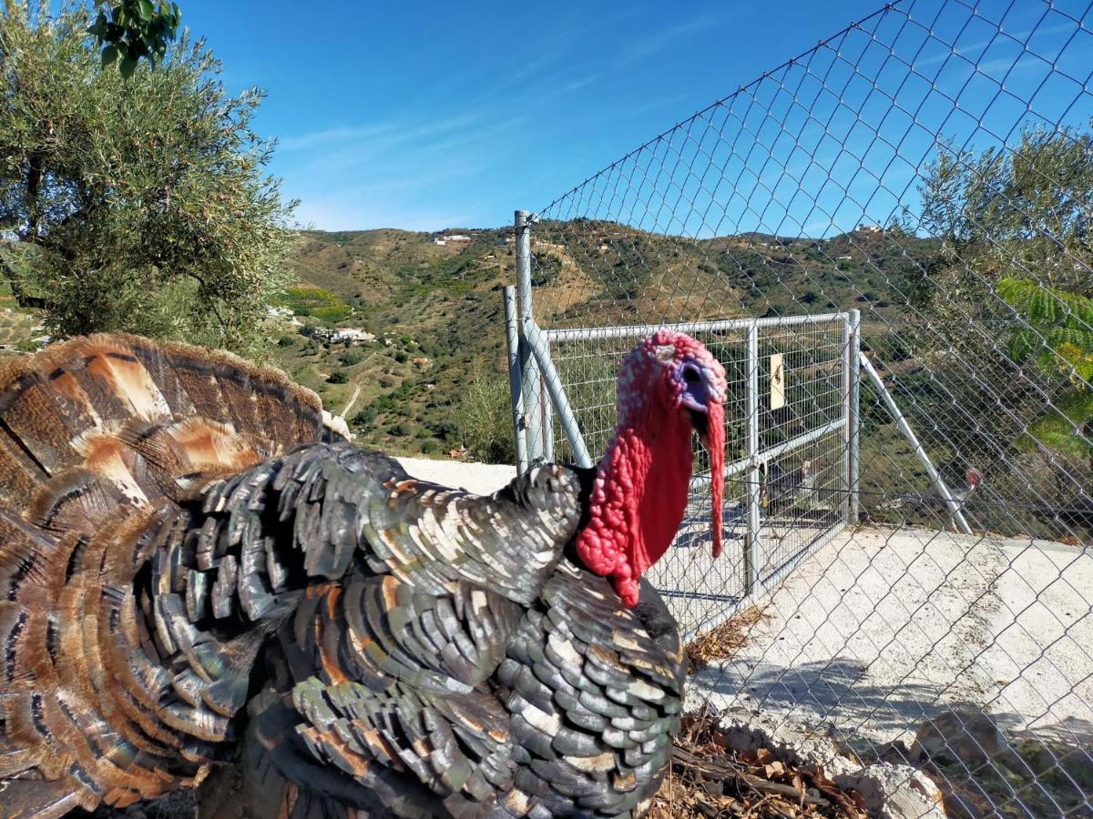 Paraje El Pozo Malaga Luaran gambar