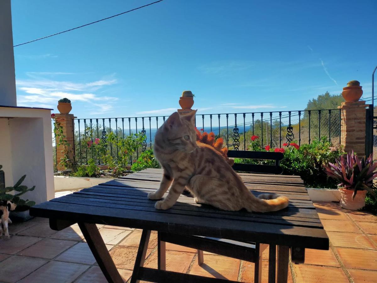 Paraje El Pozo Malaga Luaran gambar