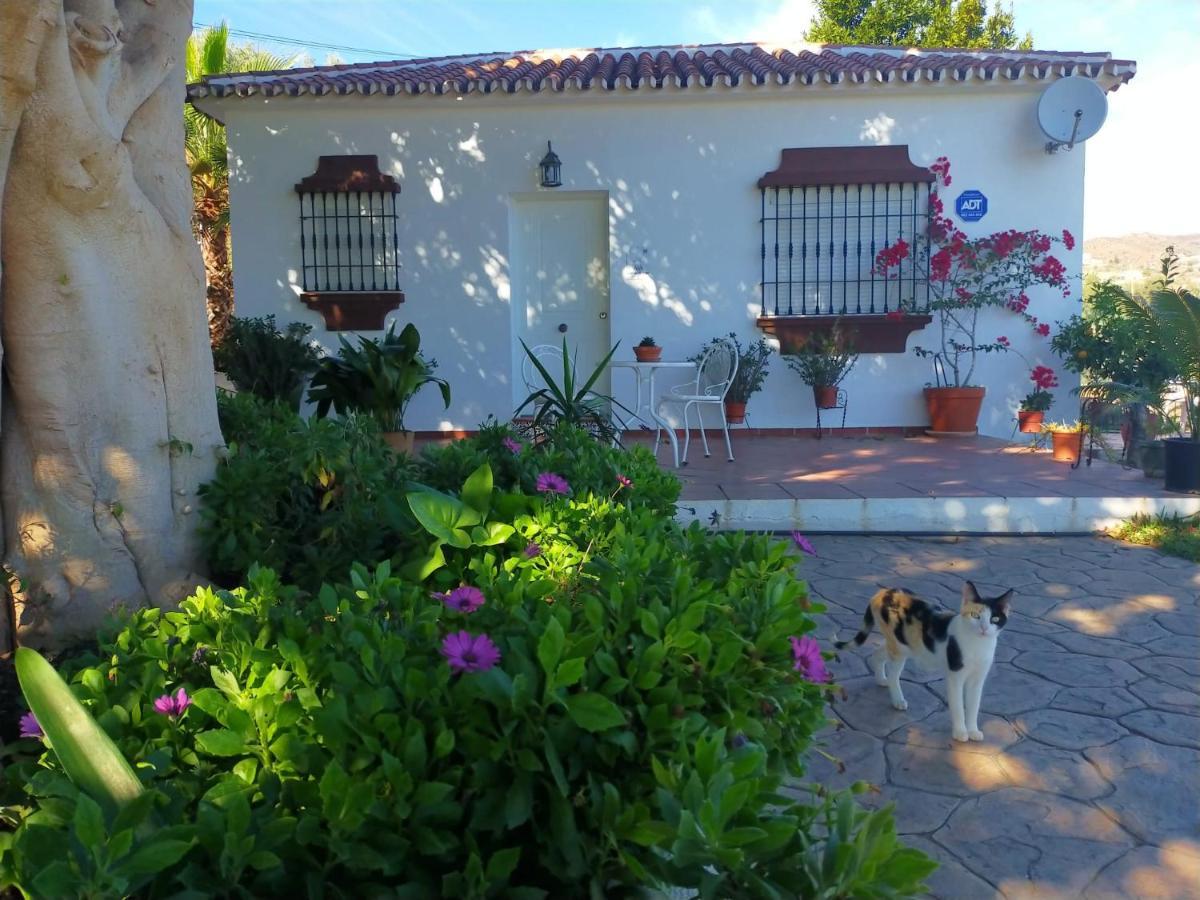 Paraje El Pozo Malaga Luaran gambar