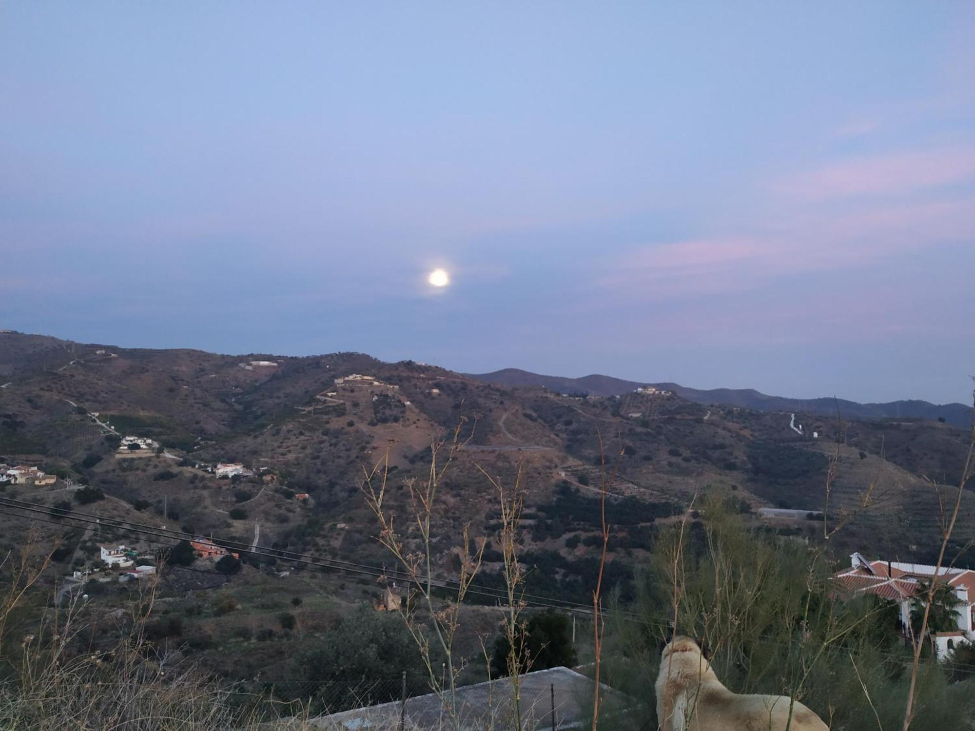 Paraje El Pozo Malaga Luaran gambar