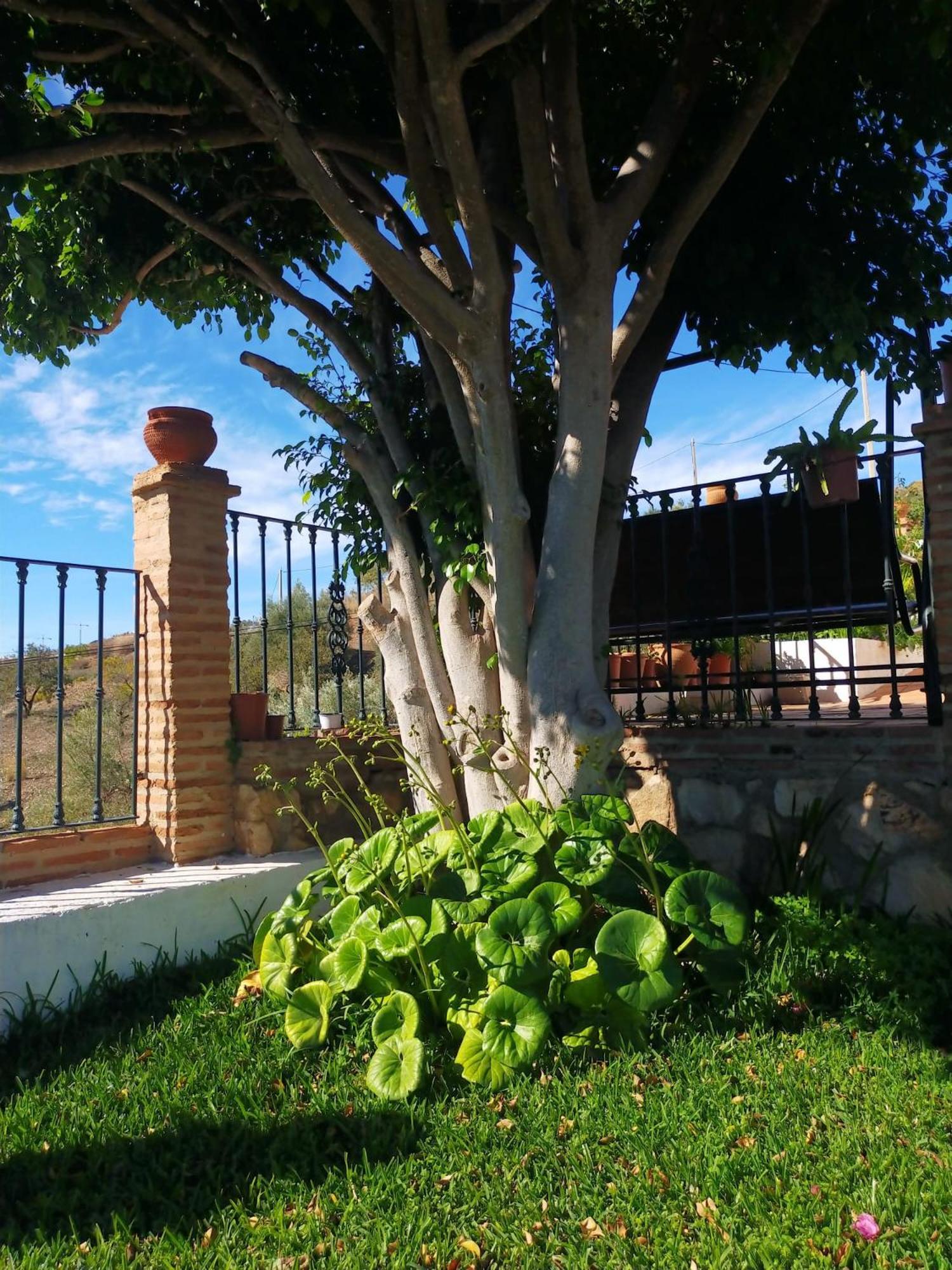 Paraje El Pozo Malaga Luaran gambar
